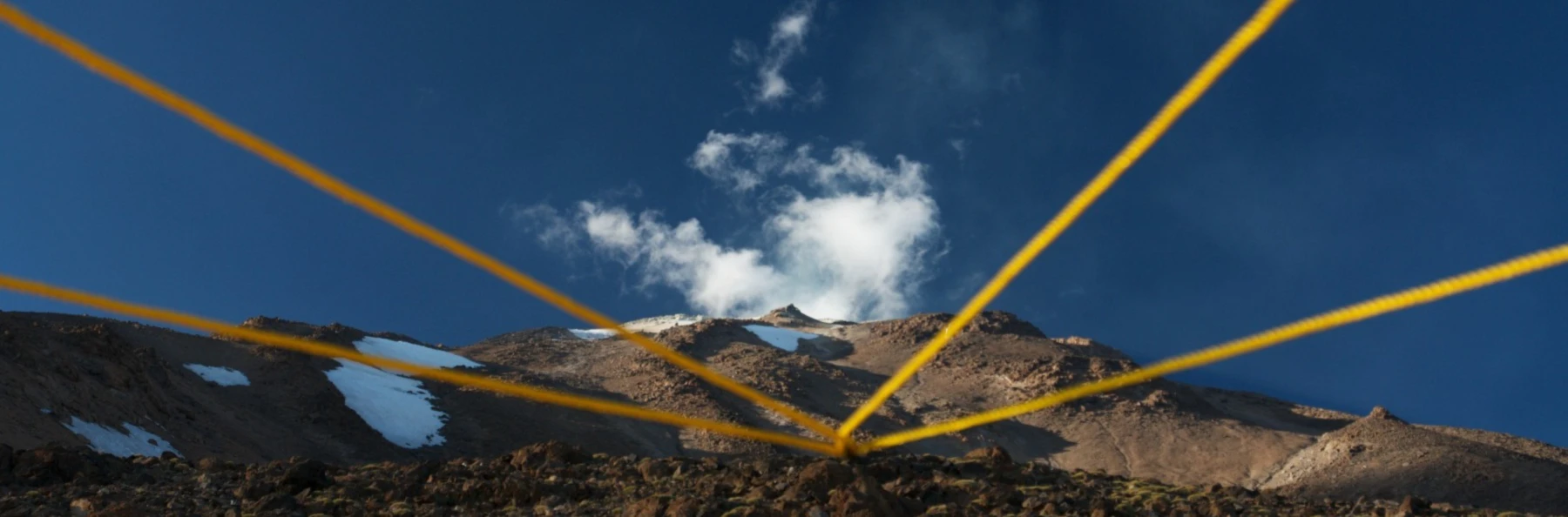 Banner image of Christian.Esocidae