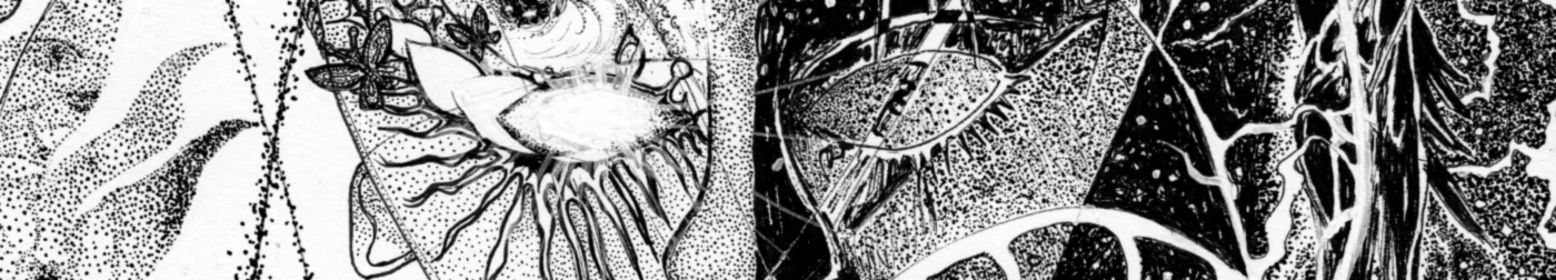 Banner image of Rivinoya