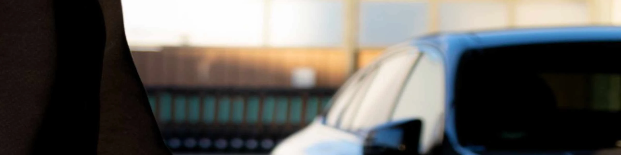 Banner image of Culishirt