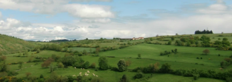 Banner image of MM Bidule