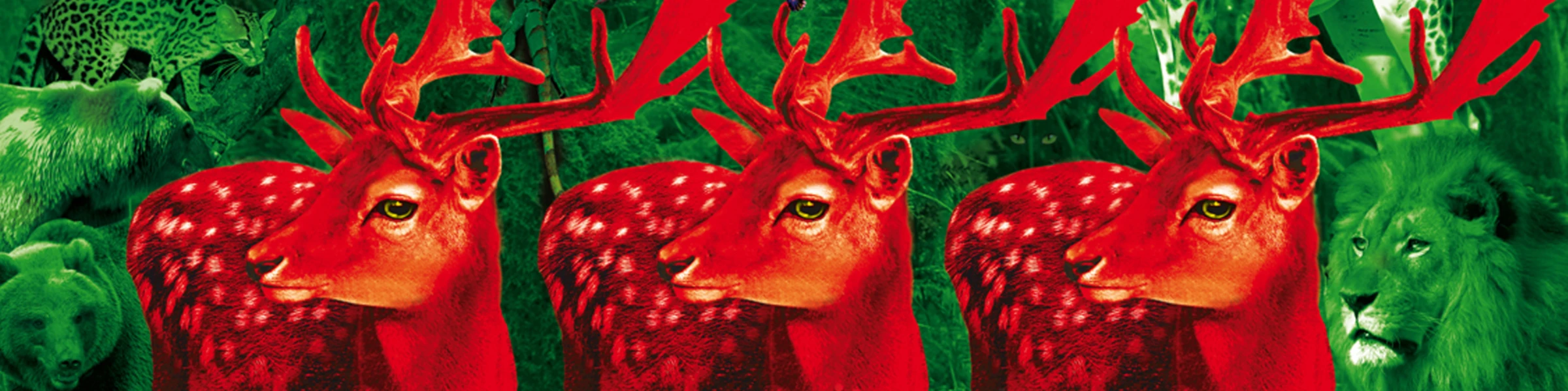 Bannerbild von articon