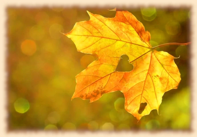 Banner image of Designed by NaKos