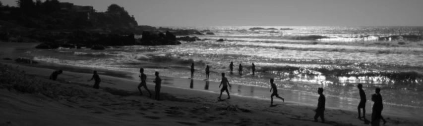 Banner image of 115059405