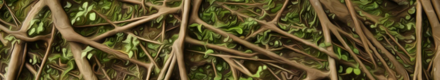 Bannière de SynergyforTrees