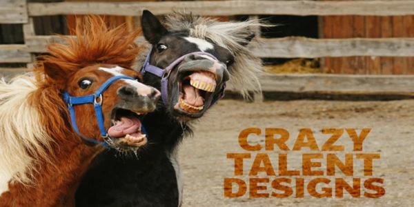 Banner image of Crazy Talent Designs