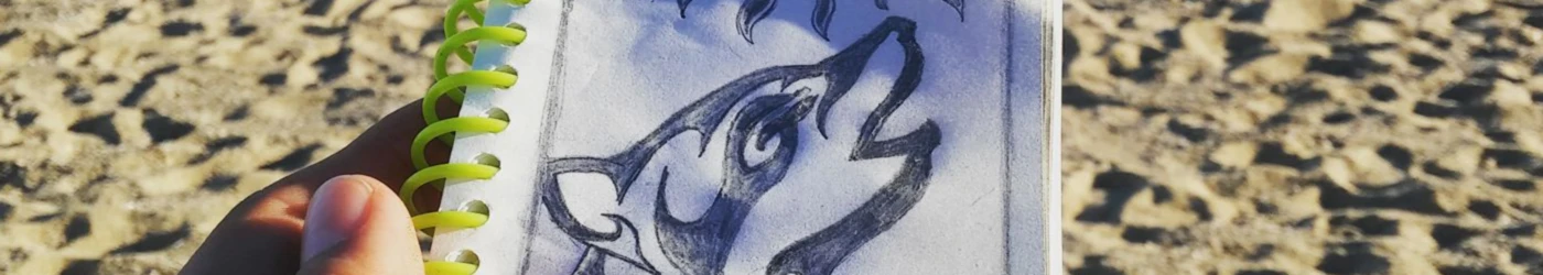 Bannerbild von splendoors