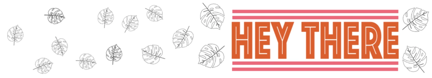 Bannière de timohouse