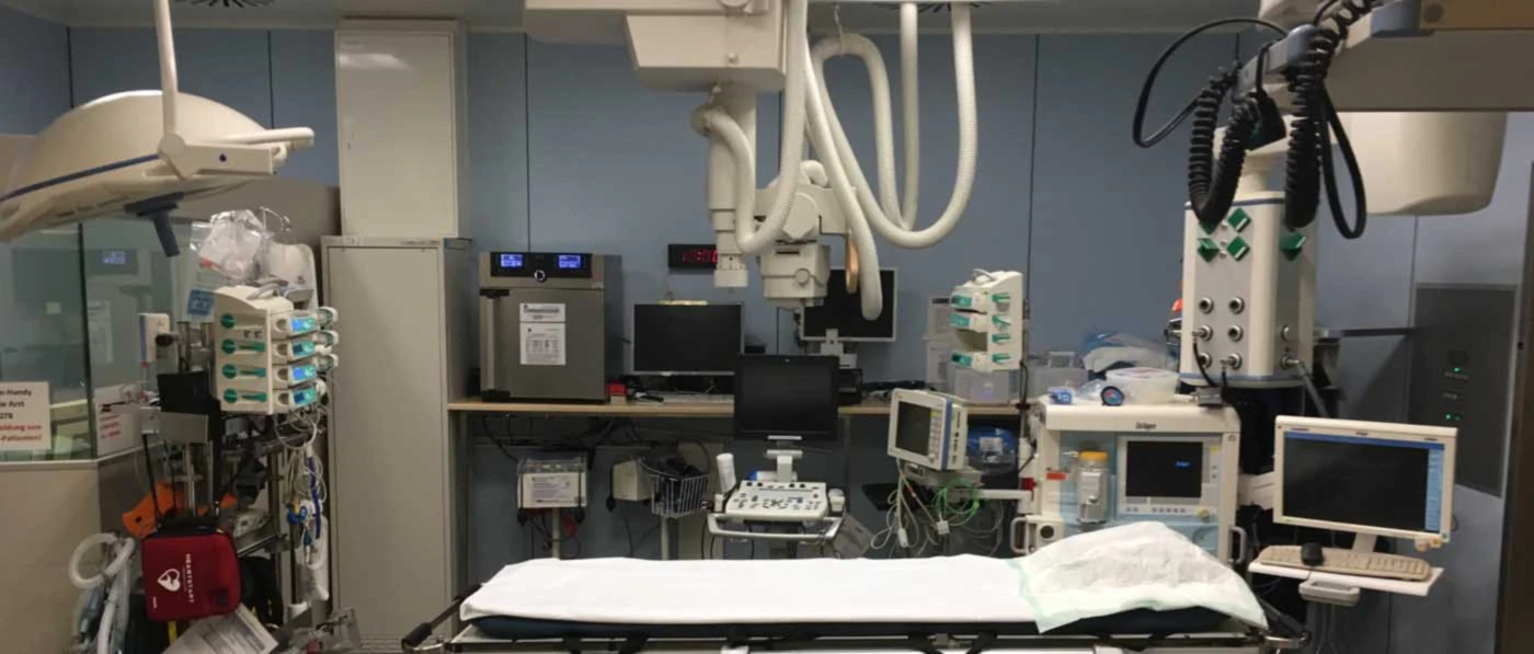 Banner image of AINS