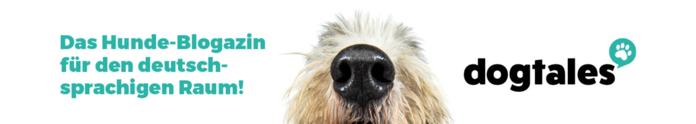 Bannière de dogtales