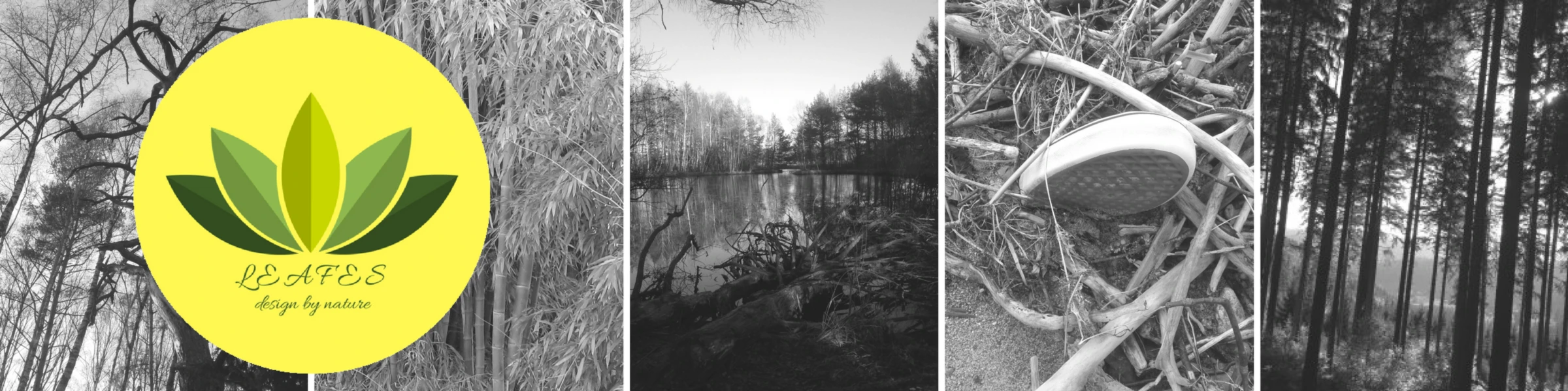 Banner image of leafes - design by nature