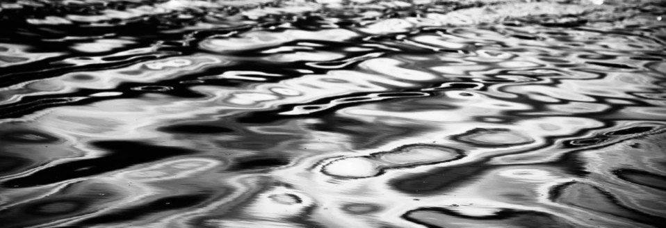 Banner image of Dein Shirt