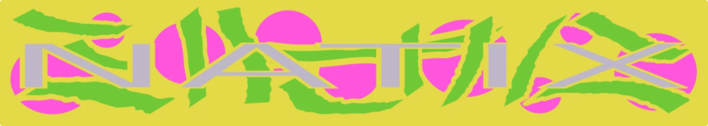 Banner image of NATIX