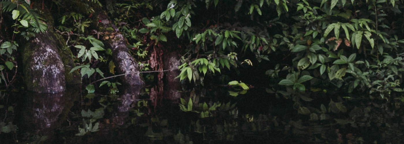 Banner image of Durch die Augen in den Sinn