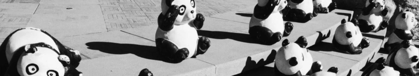 Bannerbild von Panda und Pinguin
