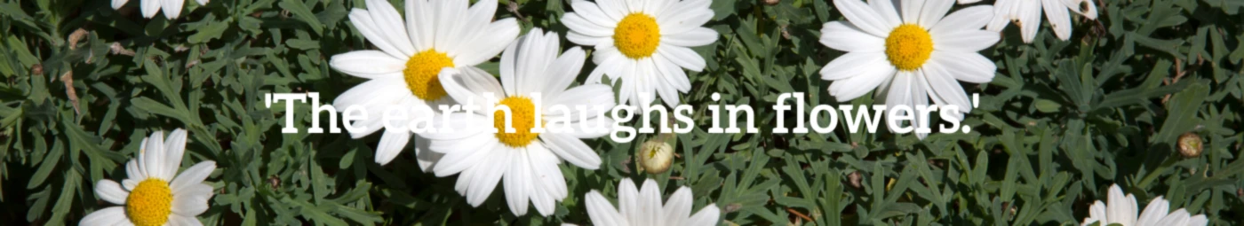 Banner image of oliwciaxx