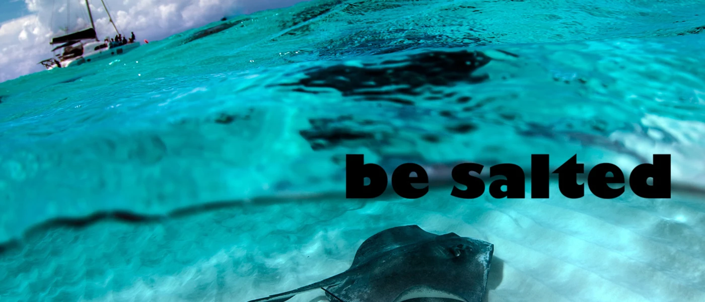 Banner image of be salted