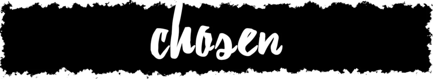 Bannerbild von Steven Braun