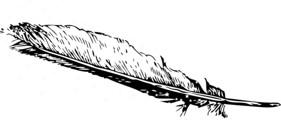 Banner image of Jilli J