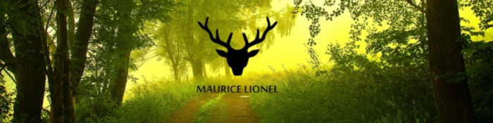 Bannerbild von Lio