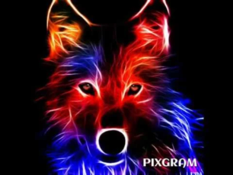 Bannerbild von Mystical