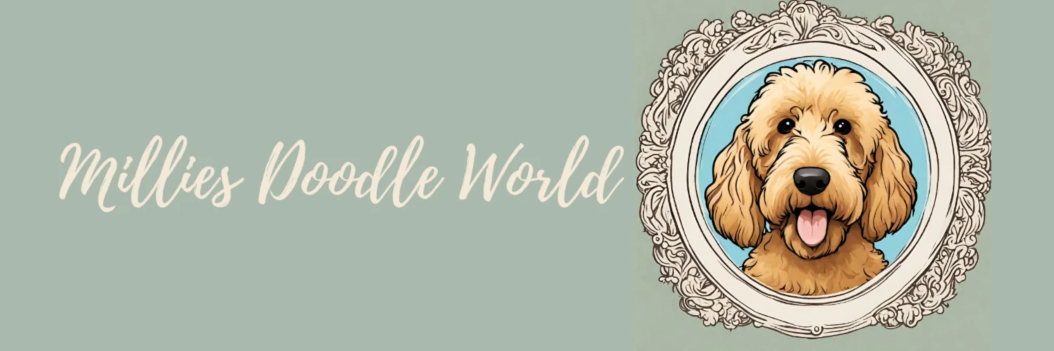 Bannerbild von millies doodle world