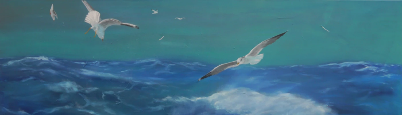 Bannière de Simplexity