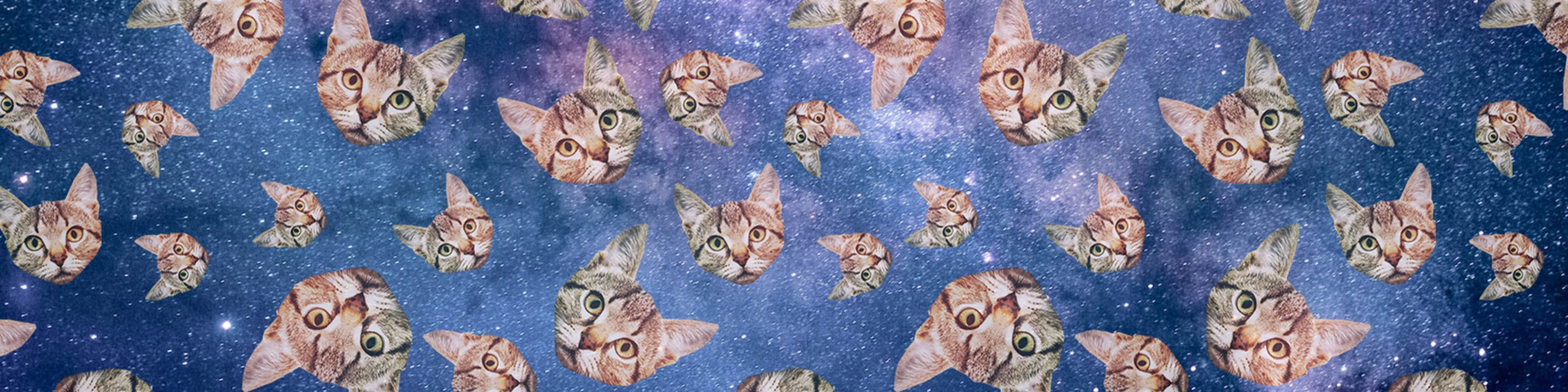 Bannerbild von NerdyBerlin