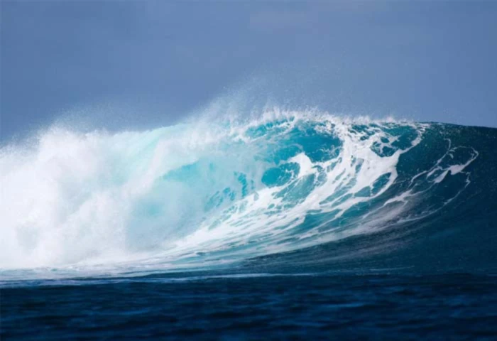 Bannerbild von 115264087