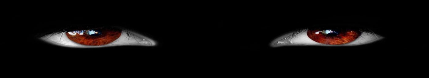 Banner image of Alexert
