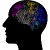 flashhead