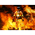 FireStore