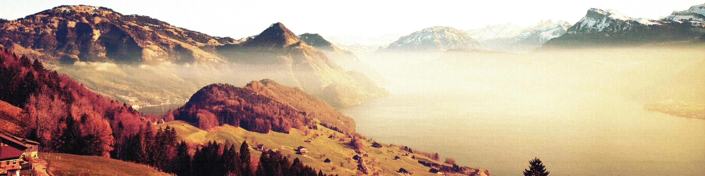 Bannerbild von mia200506