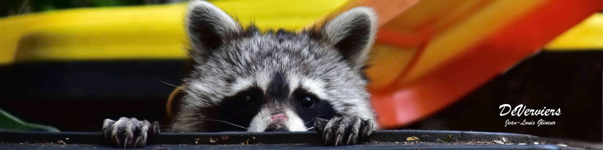 Banner image of DeVerviers