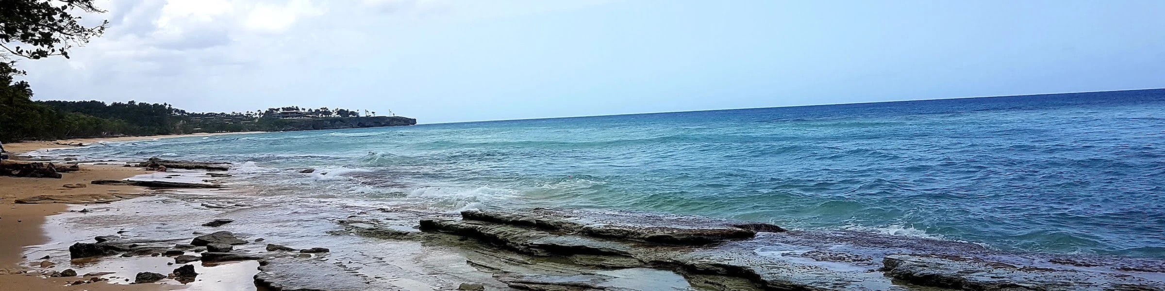 Banner image of LMTLSS