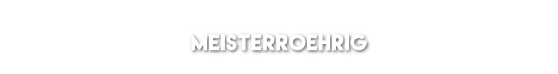Bannerbild von MeisterRoehrig