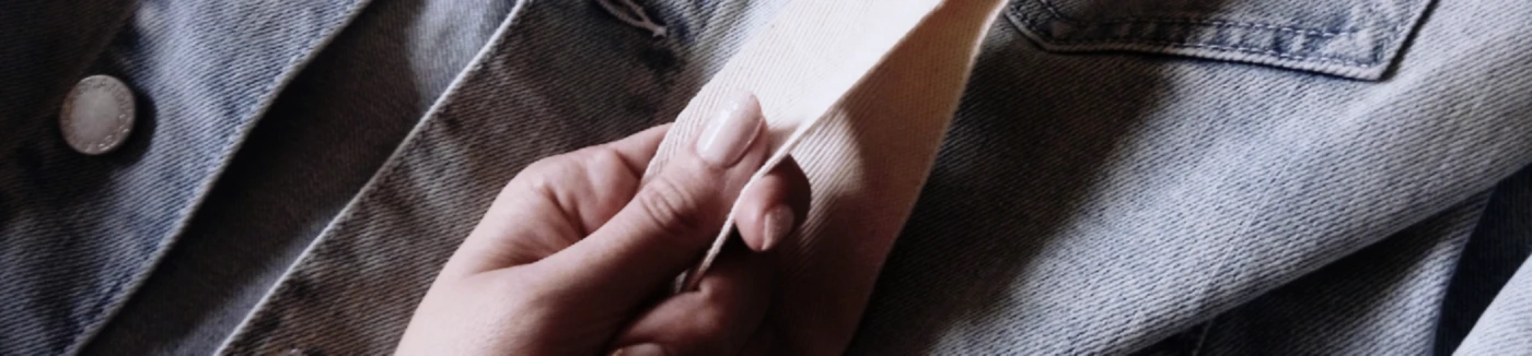 Banner image of Bernin