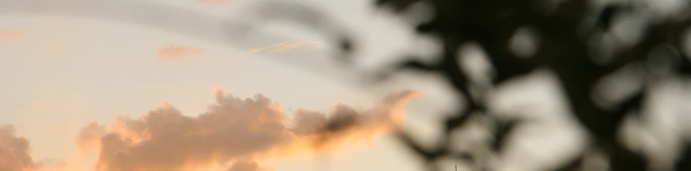 Bannerbild von verygern