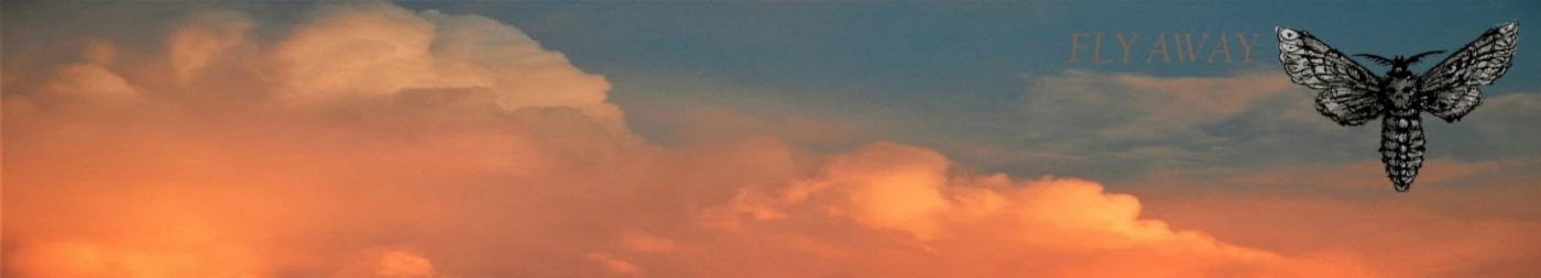 Banner image of Fly-Away