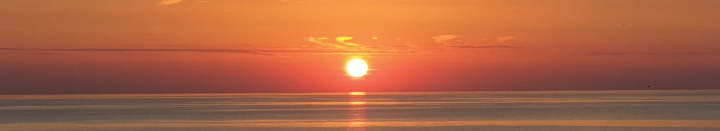 Banner image of Hofbumm207 Designs