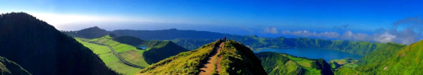 Banner image of astifee