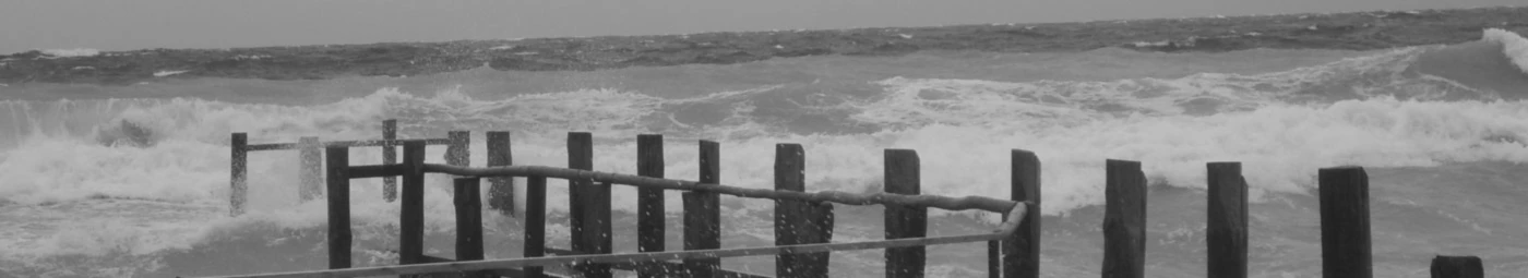 Banner image of alset alokin