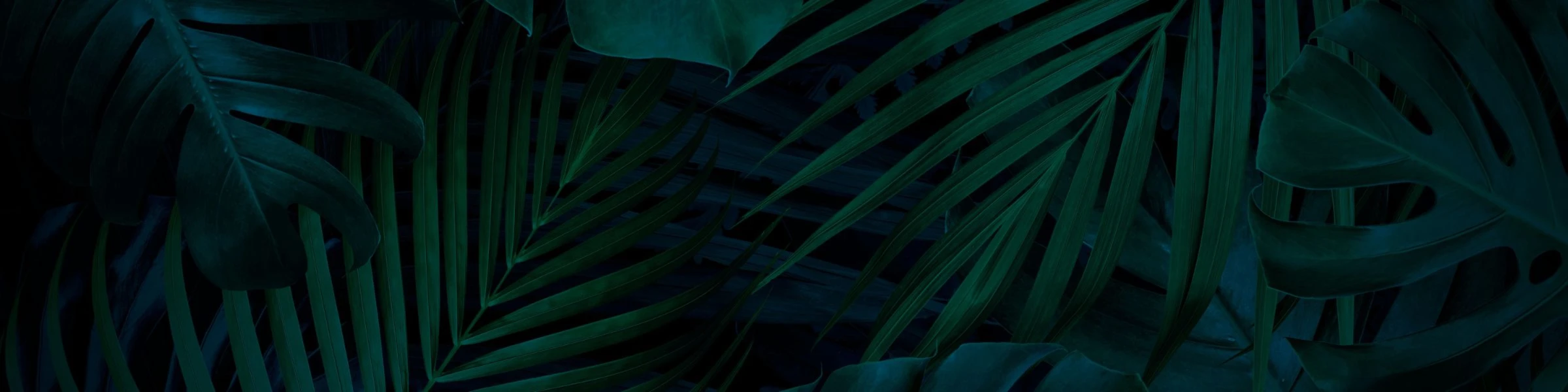 Banner image of Overclocked