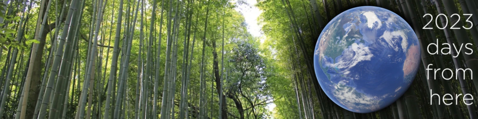 Banner image of 2023 days from here