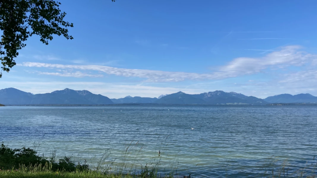 Bannière de T-Shirts and More