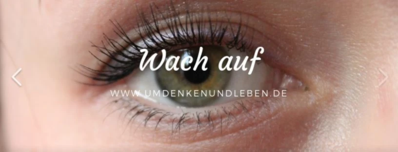 Bannière de Ringo Weigelt