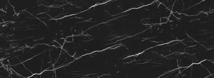 Banner image of Rhynix