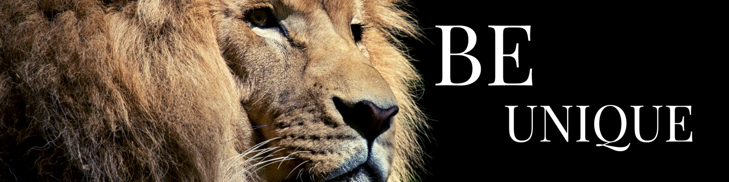 Bannière de BeUnique