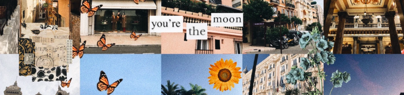 Banner image of carolinelouise