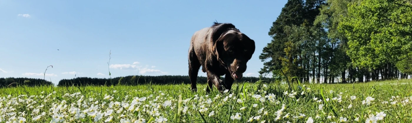 Banner image of Toni H.