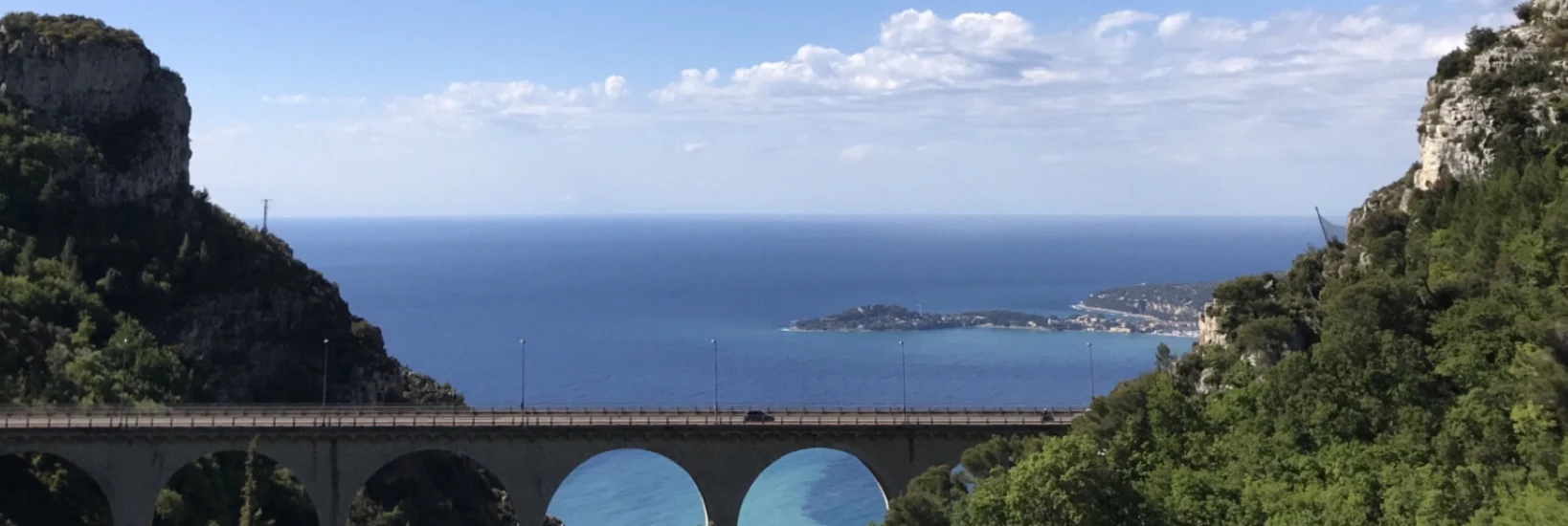 Banner image of Molaj171